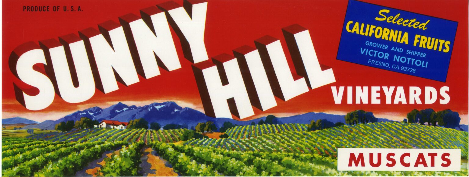 Sunny Hill Sunny Hill